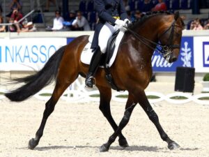 Psicologia Deportiva 4