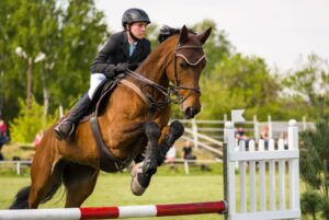 Complementos nutricioanles para caballos de alto rendimiento.